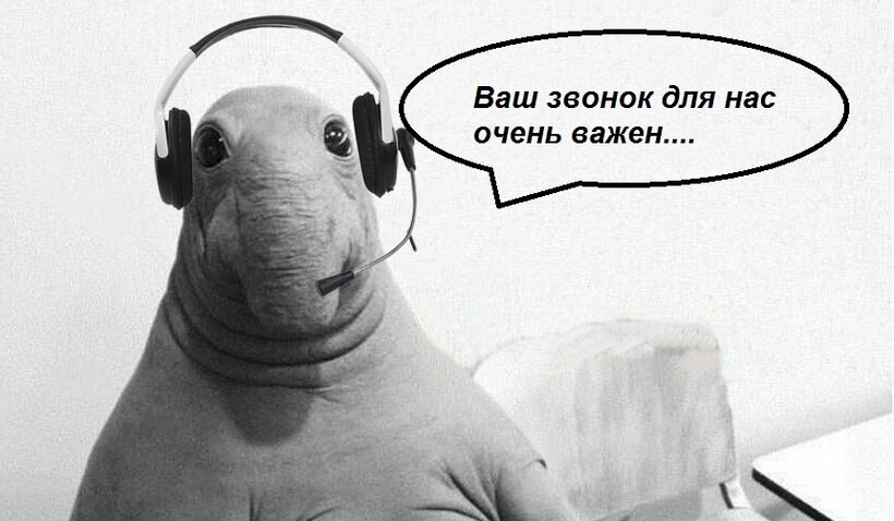 Картинка из открытого источника Яндекс.Картинки