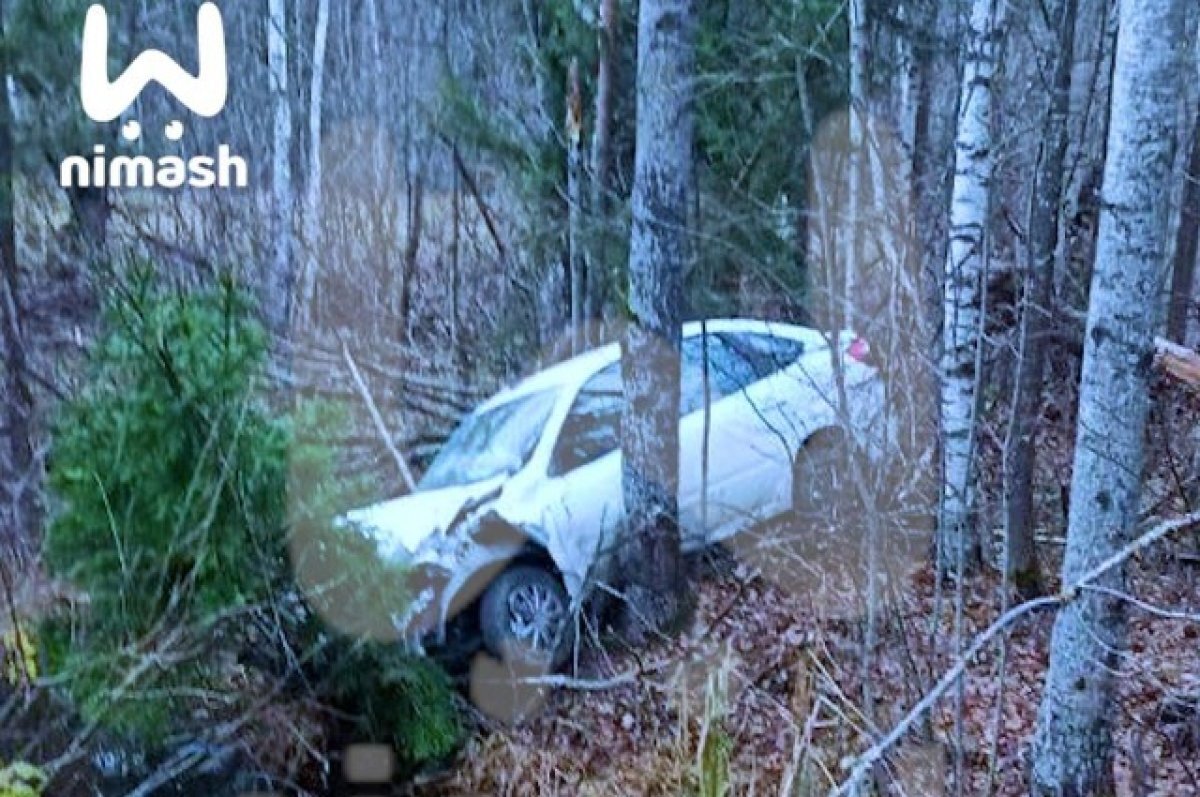    Нижегородец разбил машину друга после празднования покупки