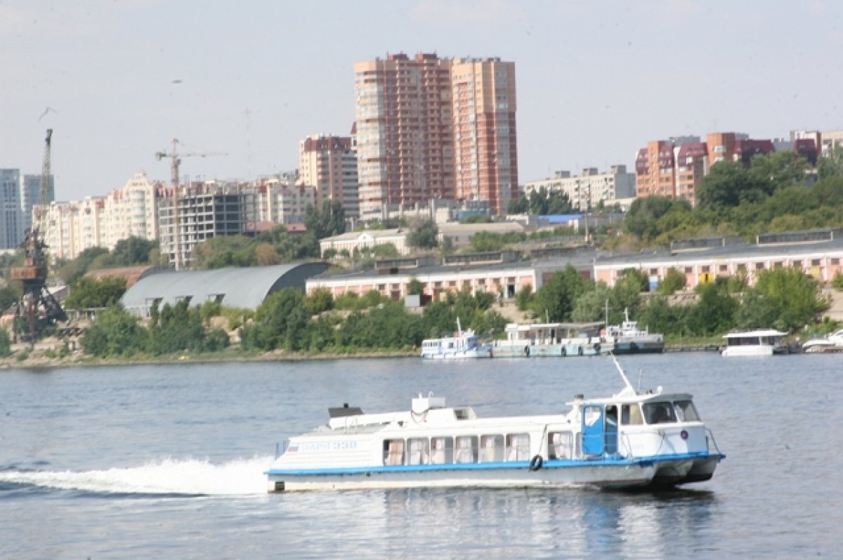 В Волгограде почти закончили готовить цветы и поливочники к зиме | АиФ  Волгоград | Дзен