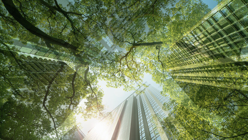   Gettyimages.ru Hiroshi Watanabe