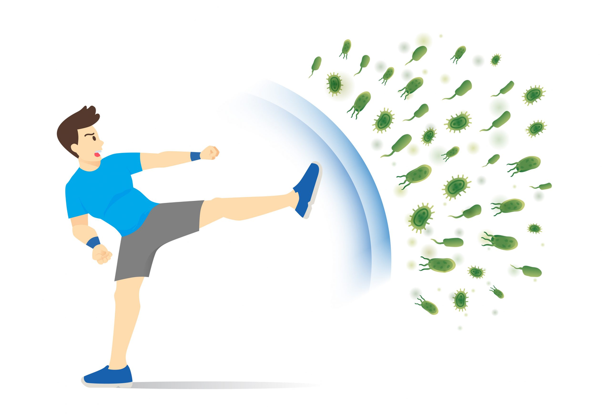 Физические нагрузки и иммунитет. Физическая активность и иммунитет. Фитнес для пожилых женщин. Иммунитет и физические упражнения. Иммунитет и физические упражнения.