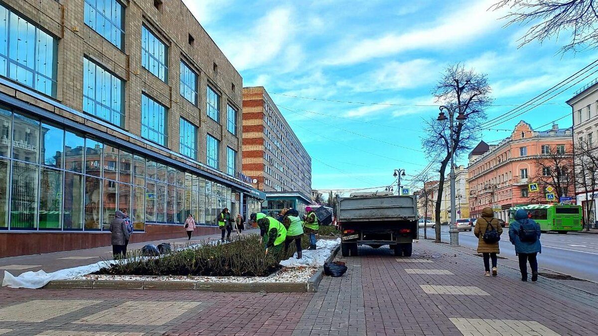    В Курске клумбы на улице Ленина готовят к зиме