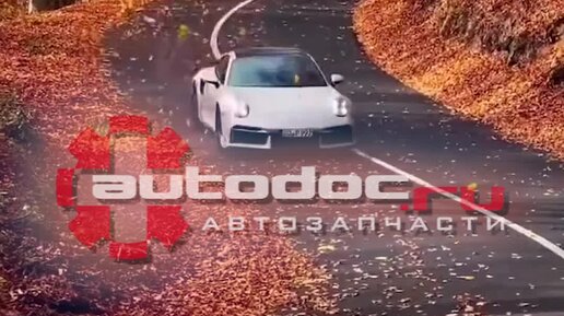 АВТОДОК | С октября поменялись правила ввоза автомобилей по ...