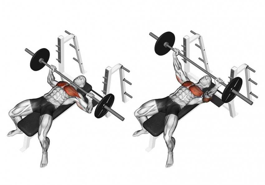 Упражнения на грудные мышцы на тренажерах