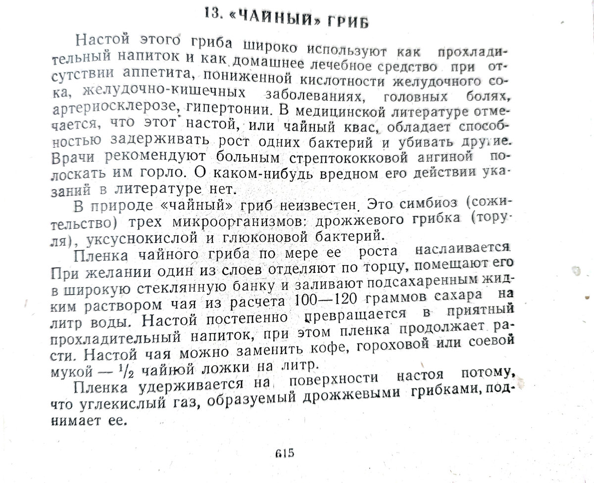"Домоводство" 1960 (фото из архива автора)