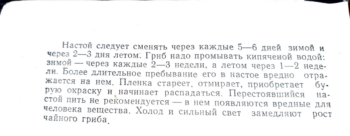 "Домоводство" 1960 (фото из архива автора)