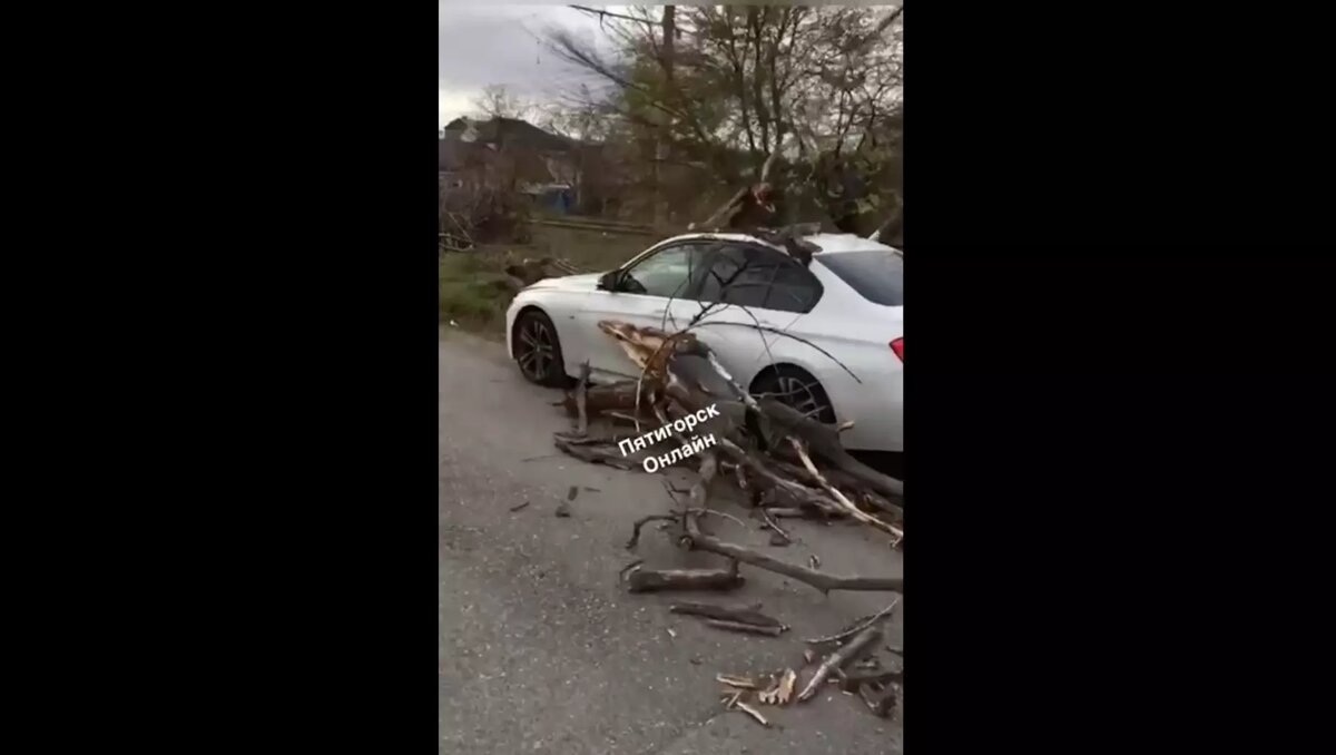     Последствия сильного ветра в регионе публикуют очевидцы в социальных сетях.
