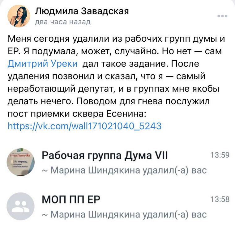    Депутата удалили из рабочих групп