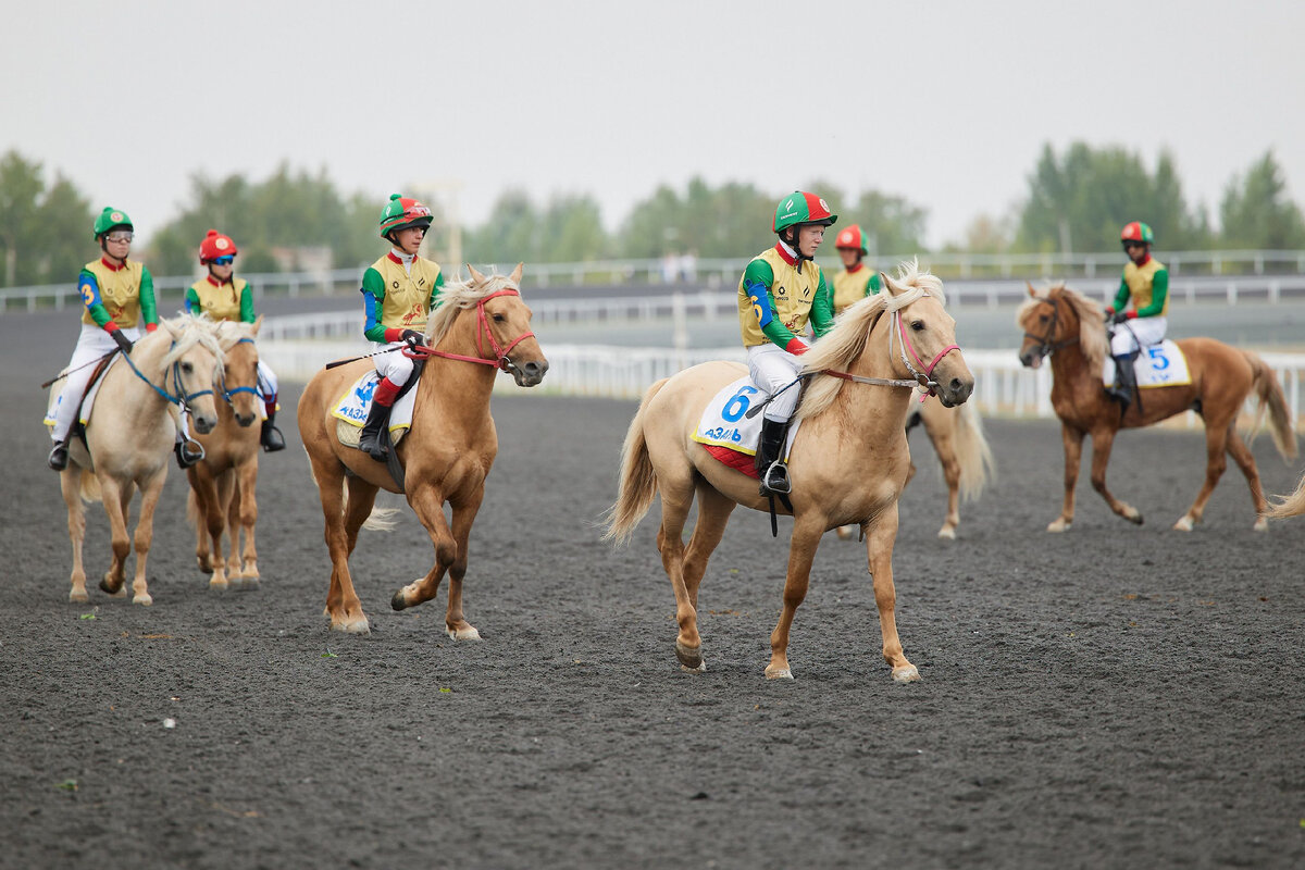 Ипподром 2. Ипподром 2. Скачки на цми 2022. Игра horse racing manager 2. Раменский ипподром.