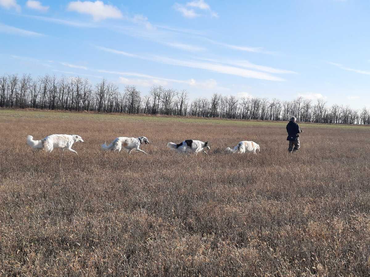 Открытие сезона. Краснодарский край.