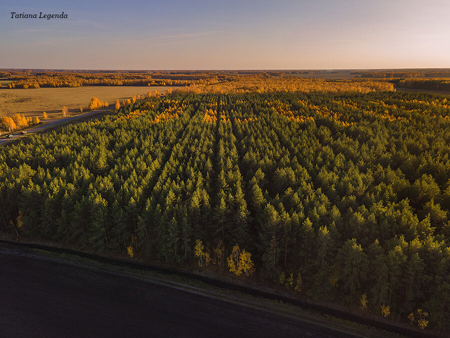 Омская область, Калачинский район. Фото: Соколова Татьяна, г. Омск
