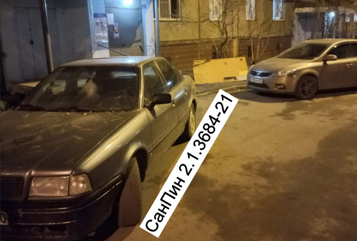 Автолюбитель VS Собак