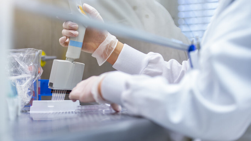   Gettyimages.ru Westend61