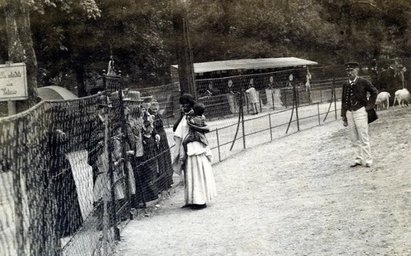 Человеческий зоопарк 1958. Человеческий зоопарк 1908. Человеческий зоопарк в Бельгии. Человеческие зоопарки (Бельгия 1958 г.). Последний человеческий зоопарк в Европе.