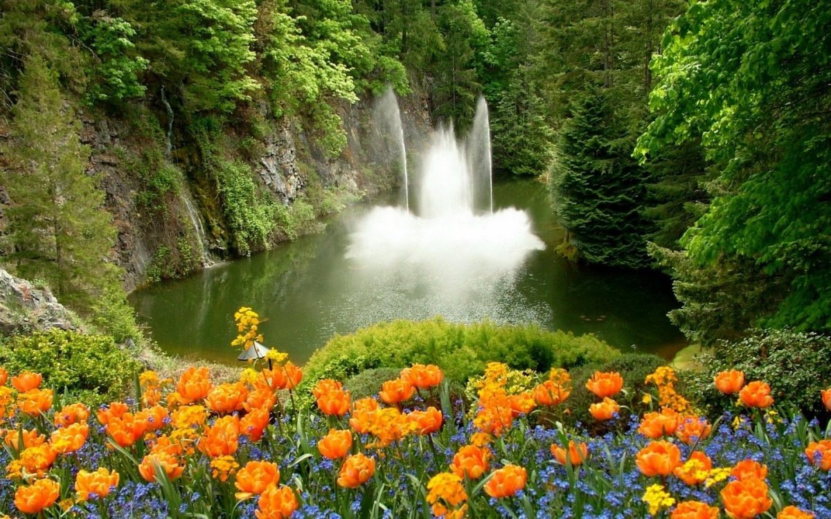 Картинка найдена на просторах интернета, ссылка https://yandex.ru/images/search?from=tabbar&img_url=https%3A%2Fi%2F.pinimg.com%2Foriginals%2Fa8%2F34%2Fа3f%2Fa83р43f82251с2879b5e7bd53274cf0591a19.jpg&lr=47&pos=15&rpt=simage&text=%D1%86%D0%B2%D0%B5%D1%82%D1%8B%20%D0%BA%D1%80%D1%83%D0%BF%D0%BD%D0%BE%20%D1%84%D0%BE%D1%82%D0%BE 