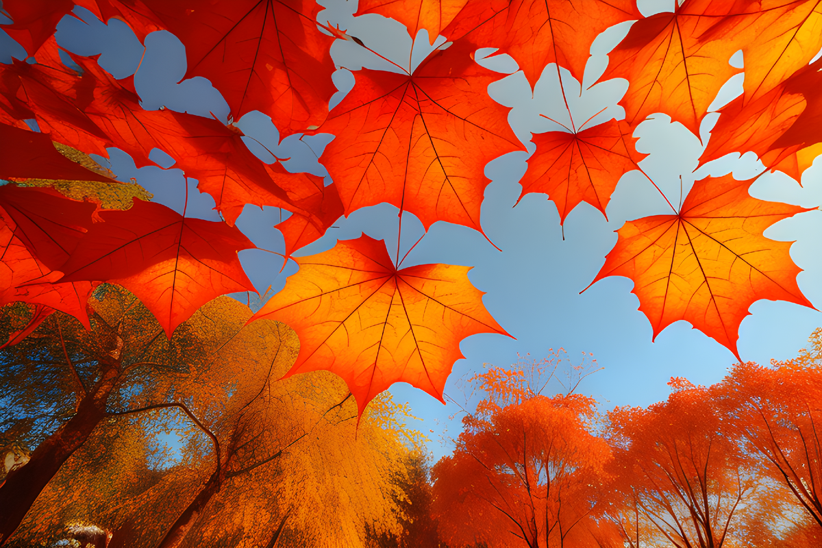 Сочинение на тему Осенний листопад | Уроки | Дзен