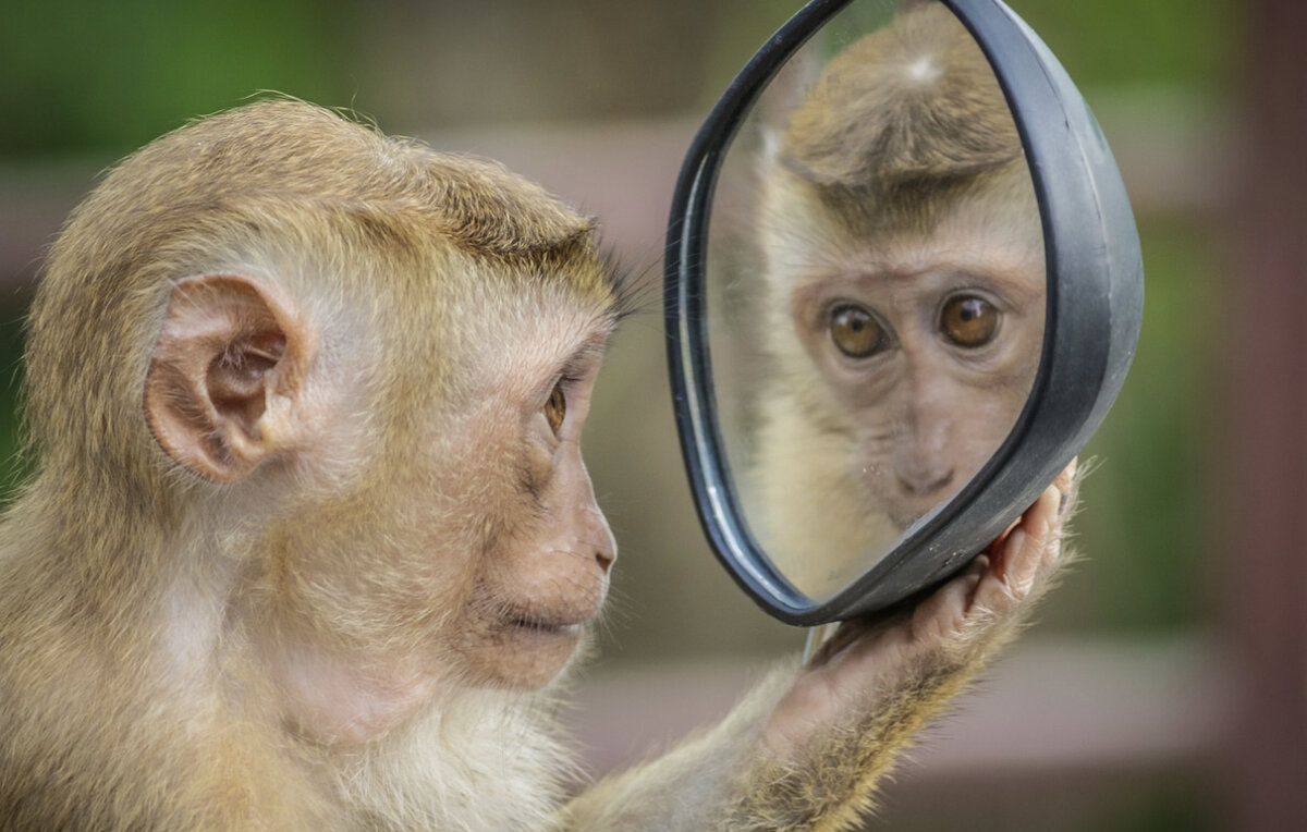 Источник pixaboy.com