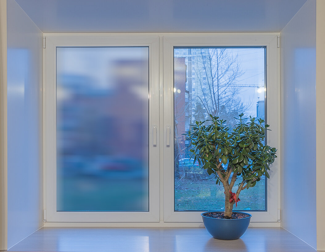 наличие зелени в вашем доме, горшки с зелеными растениями на окнах.