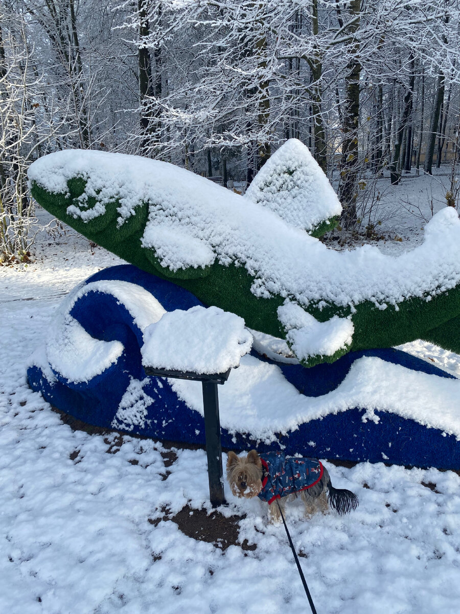 ЖуЖа не в восторге от такой погоды