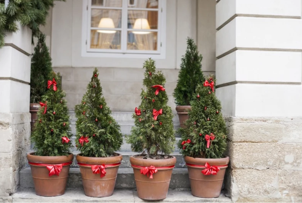 Рождественская ель в доме. Приятного чтения!