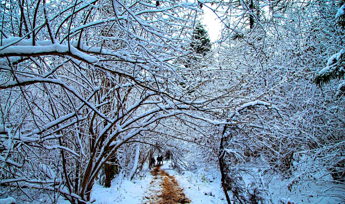 Фото принадлежит автору канала.