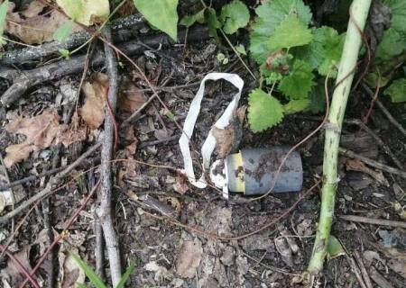    ВСУ ведут обстрелы ДНР и Белгородской области. Обзор ситуации в прифронтовых регионах России на вечер 14 ноября