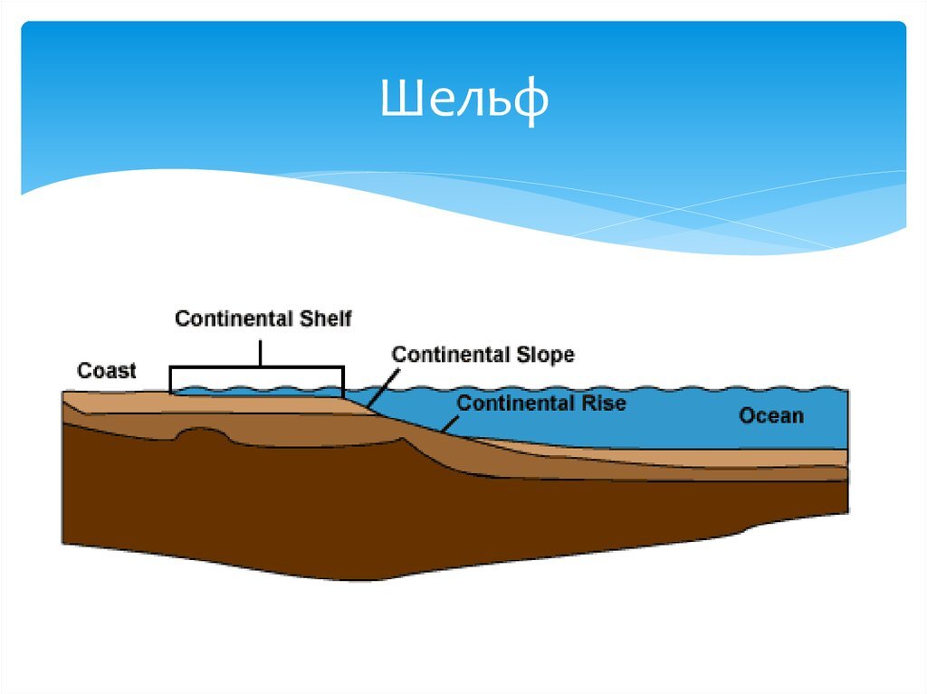 Схема  расположения  континентального  шельфа
