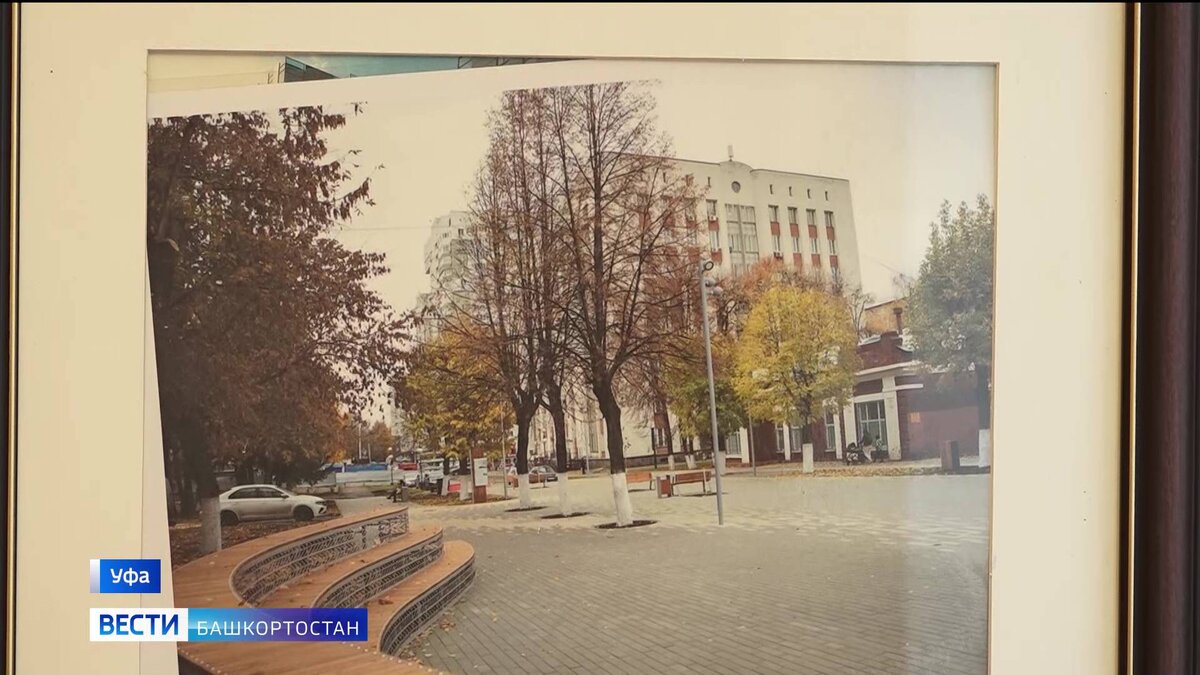    В Уфе высадят 45 тысяч новых деревьев к юбилею столицы