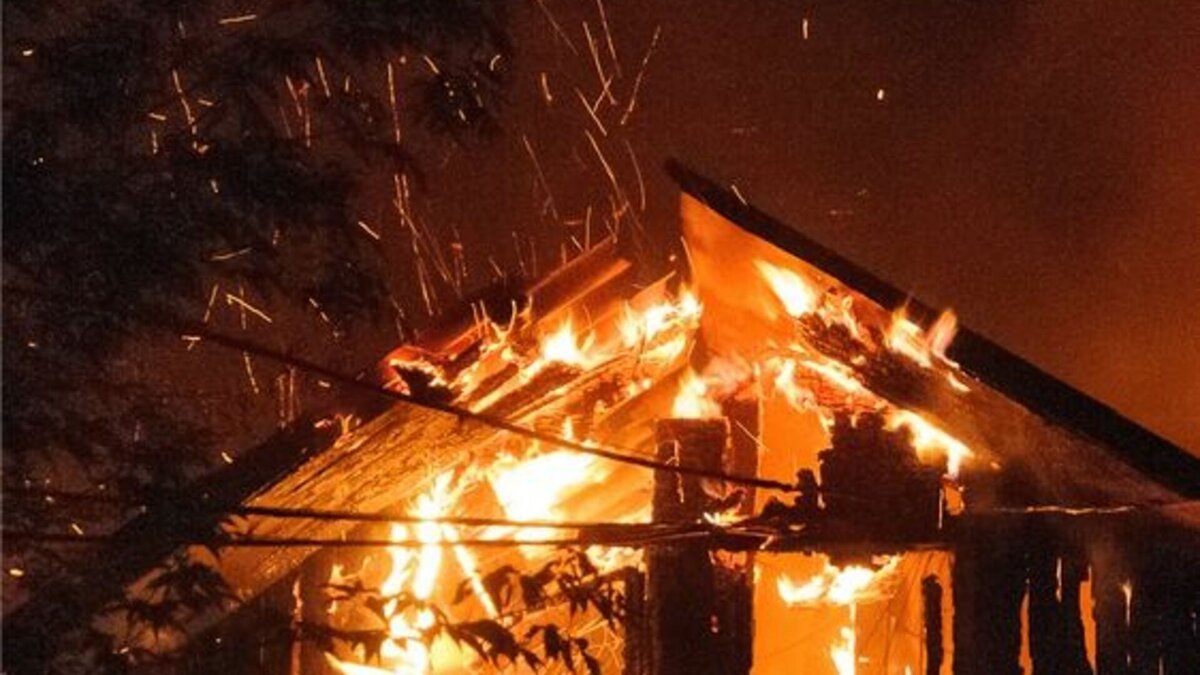 фото из интернета