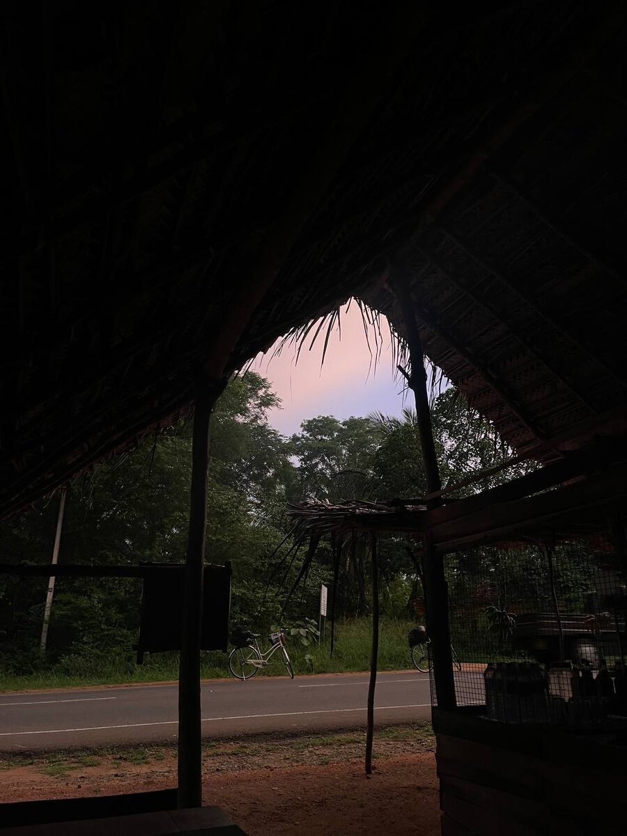 Перед темнотой.