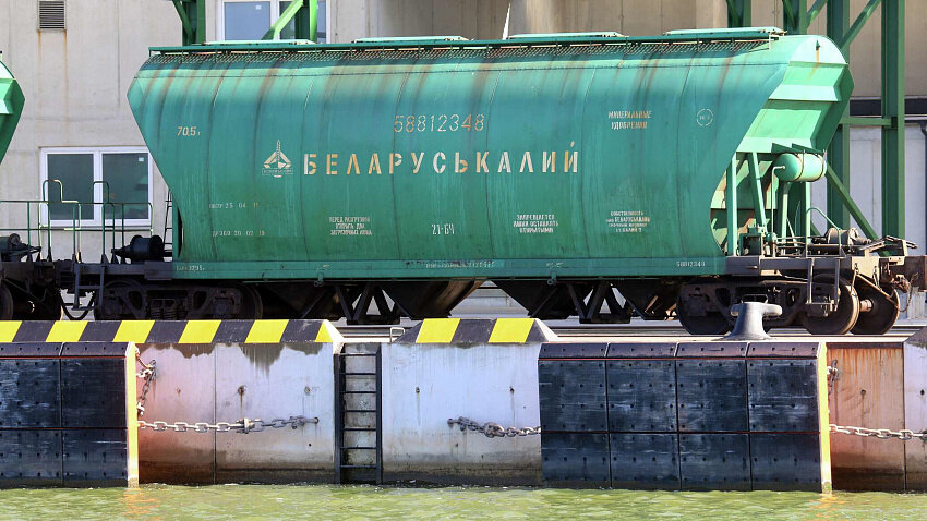 Фото: © AFP / PETRAS MALUKAS