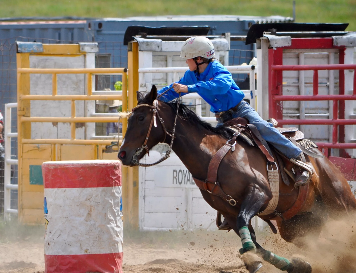 Вид спорта скакать на палке лошади. Barrel Racing конный спорт. Родео конный спорт. Вестерн спорт. Вестерн конный спорт.