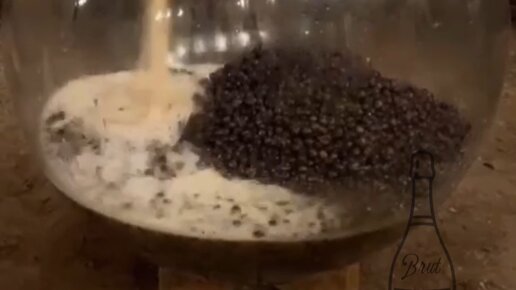 Леонид Брют | Танец ягод🍇 в бутыле WineGlobe🎼 | Дзен