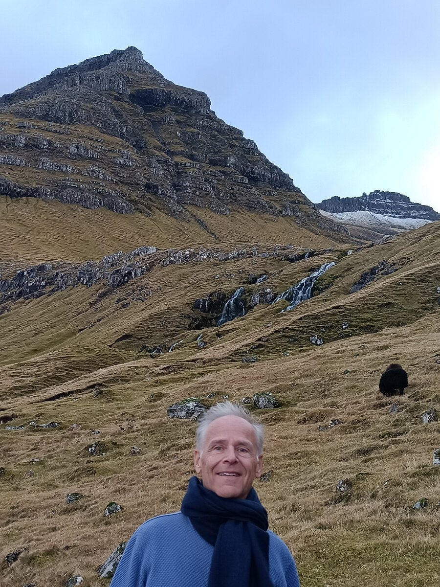 "Выживший в кайнозойскую эру" на Фарерских островах. Фото автора 