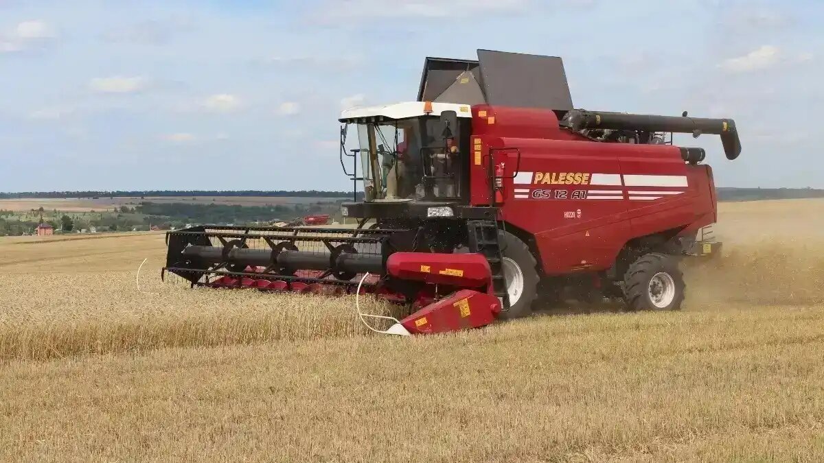 Фото: glavpahar.ru Зерноуборочный комбайн Гомсельмаш в работе