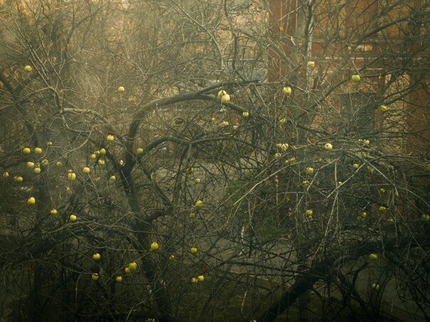 Изображение из открытых источников