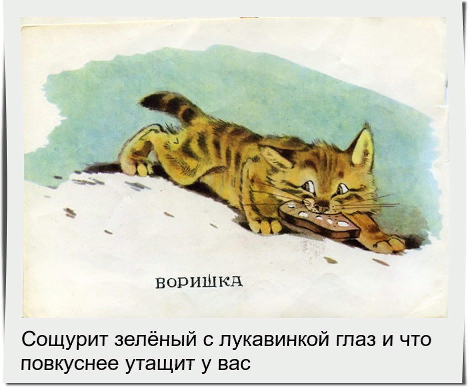 Сказка паустовского кот. Посмотрите какие котята. Кот ворюга. Иллюстрации котят из книги.