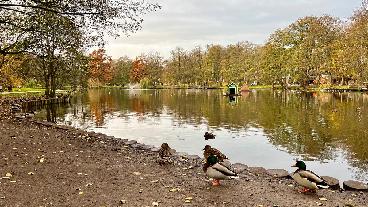 Фото  автора