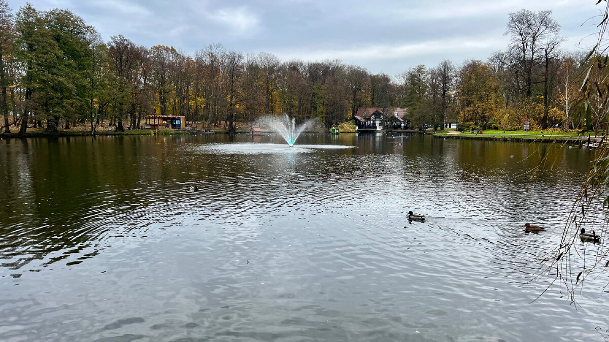 Фото автора 