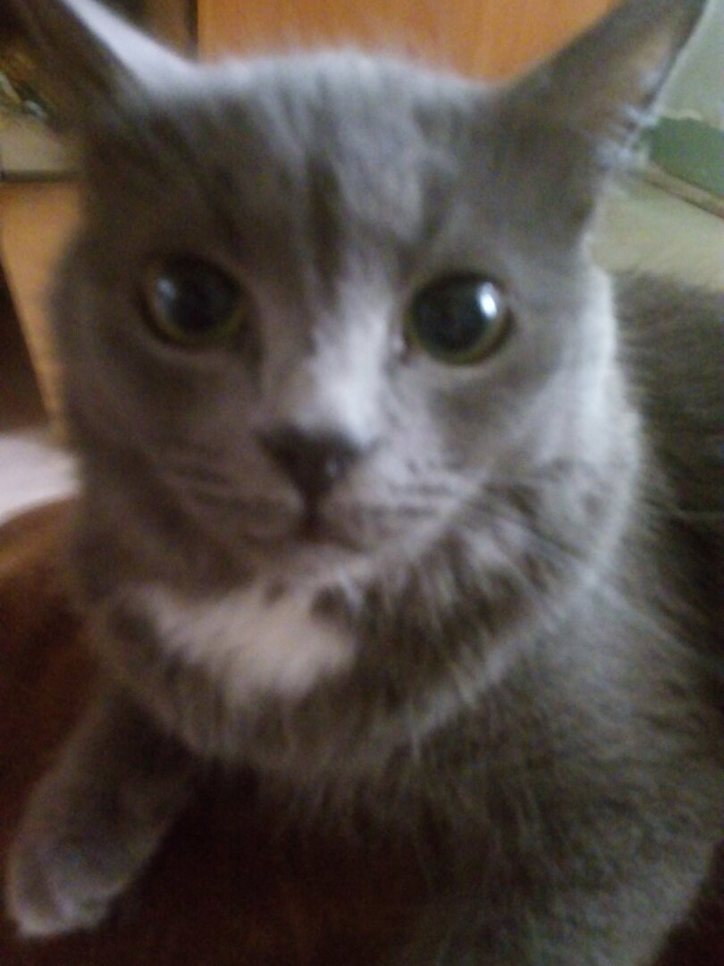 Захар фоткал)