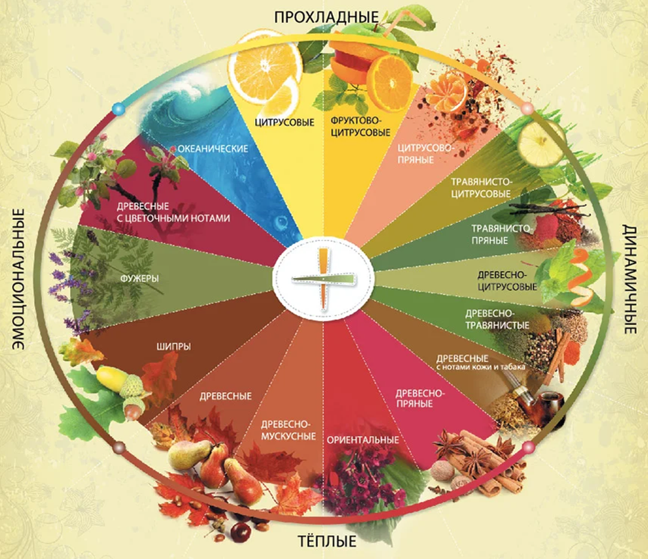 Пряная нота. Классификация ароматов Майкла Эдвардса. Колесо ароматов Майкла Эдвардса. Семейства ароматов классификация. Классификация ароматов в парфюмерии.