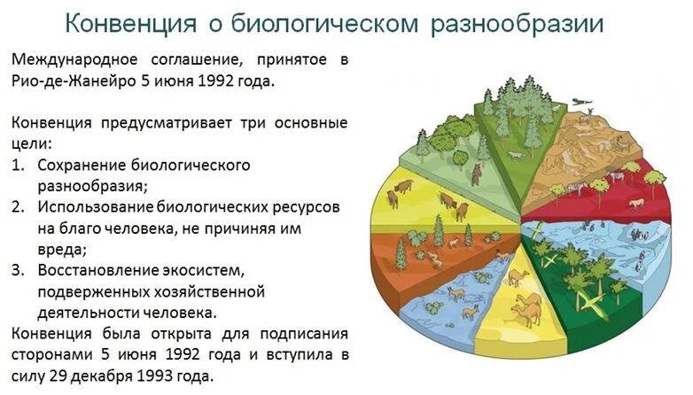 Потеря биологического разнообразия презентация