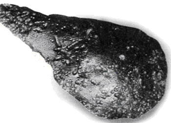 капля тектита