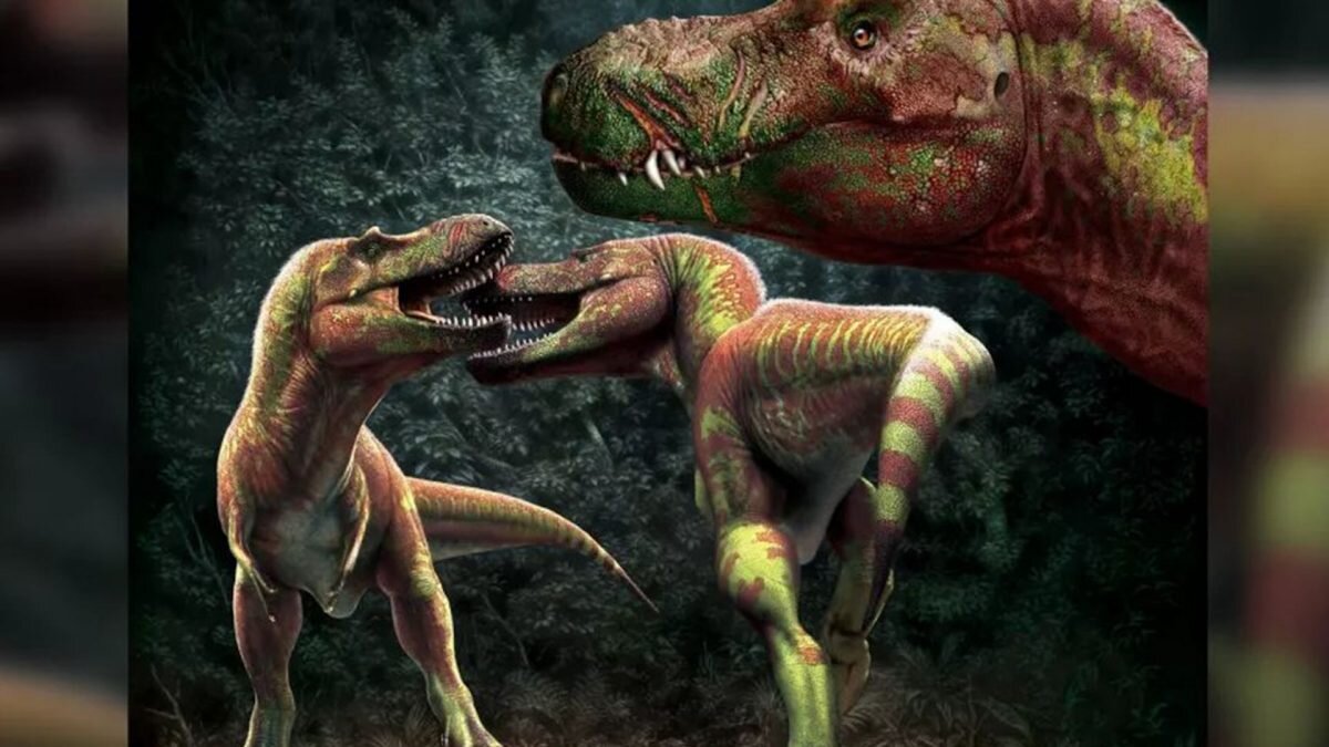    Фото: Julius Csotonyi/Royal Tyrrell Museum Август Макаров