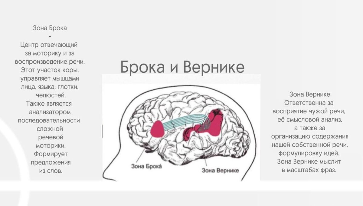 Голосовой Аппарат | Искра | Дзен