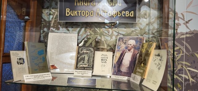    Фото:  АиФ/ Ольга Лобзина