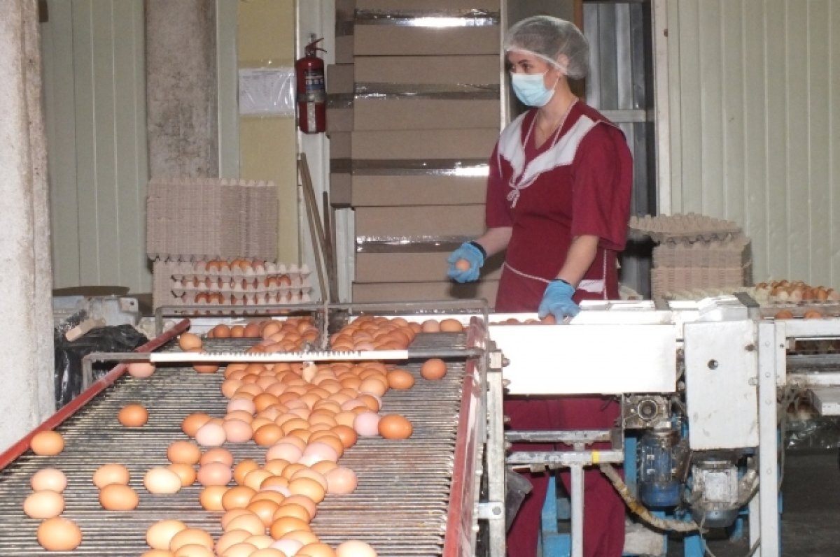    За пределами понимания.