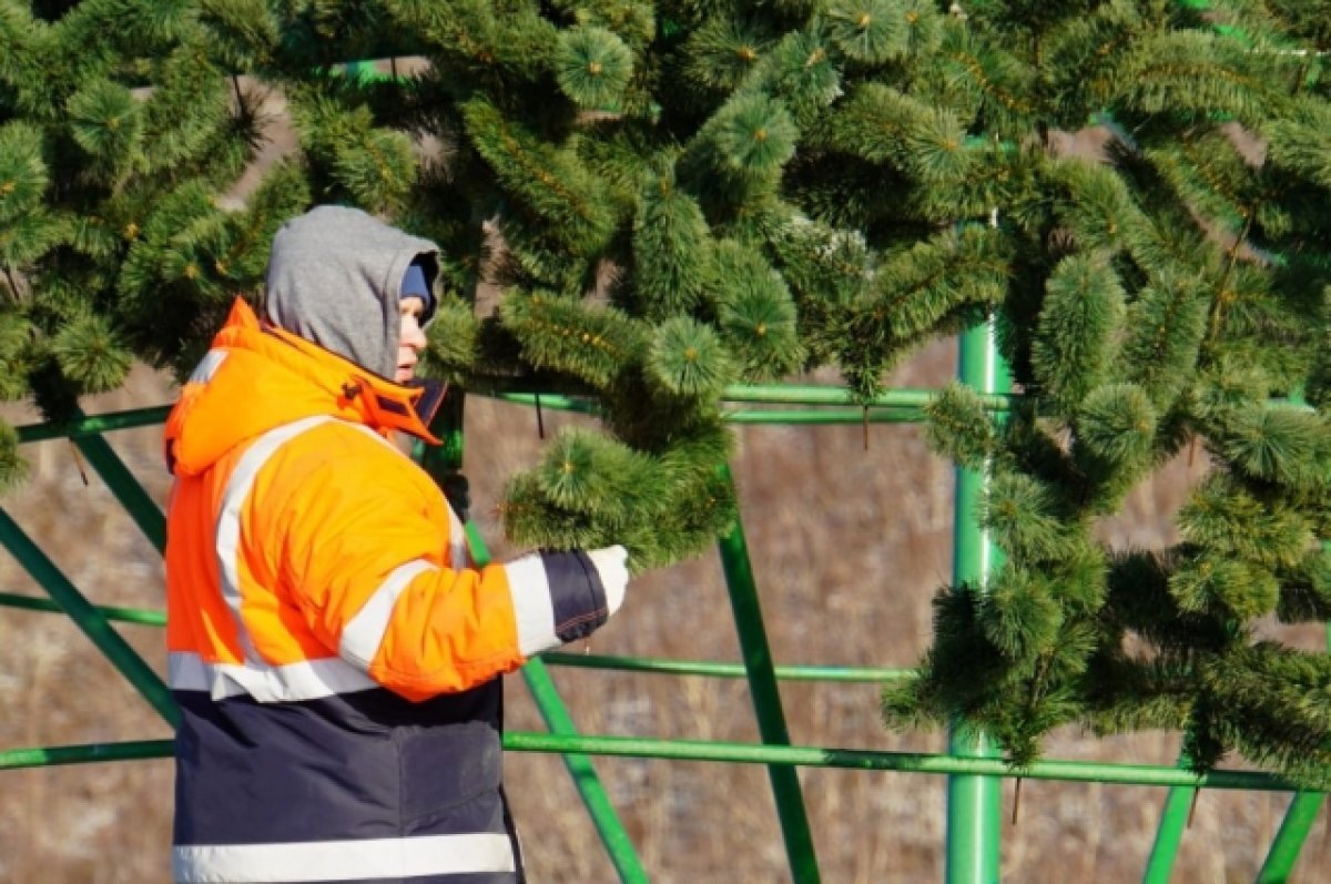    Огни на главной елке Камчатки зажгут 9 декабря