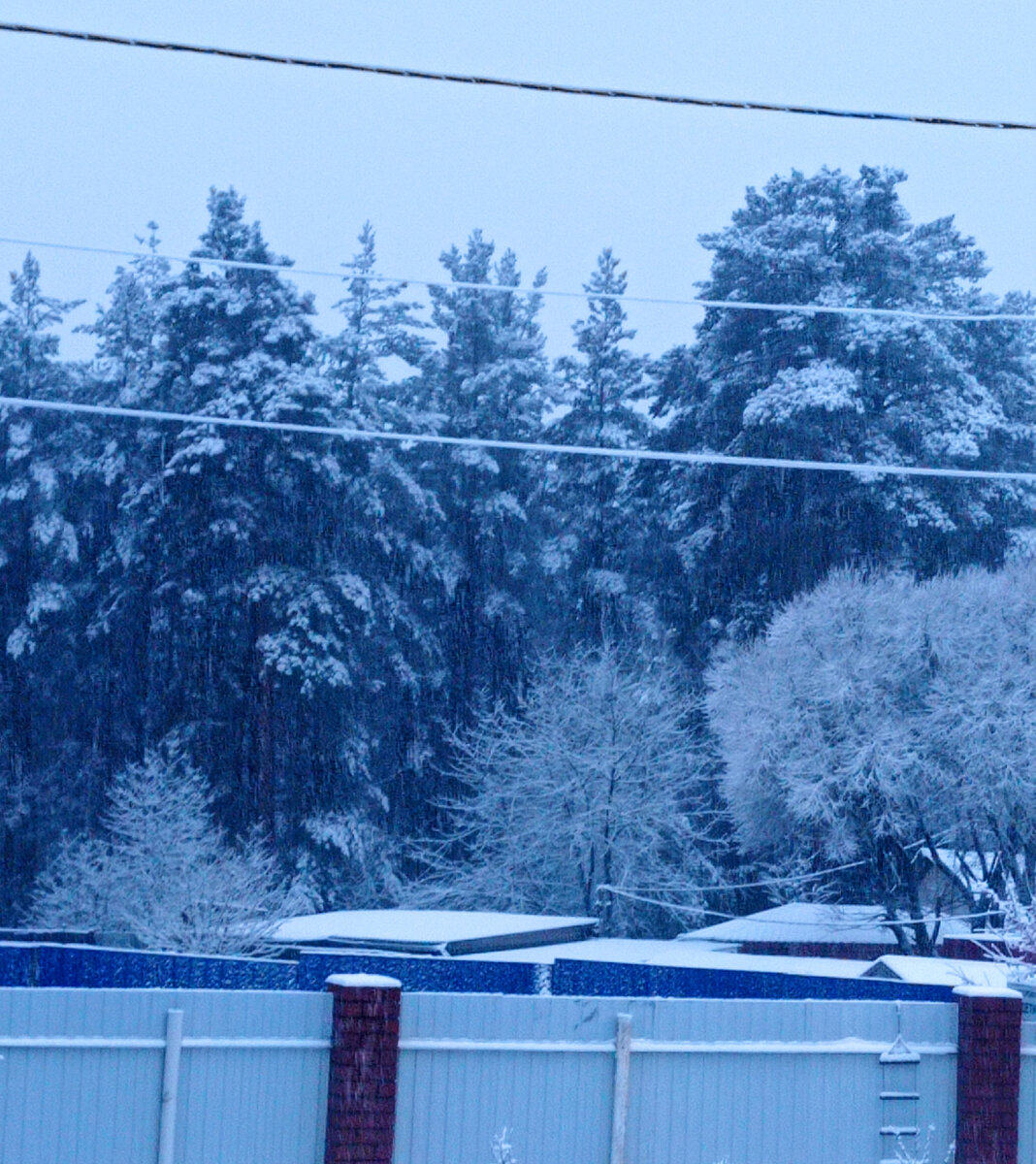 Я только стою на пороге террасы и любуюсь такой вот красотой