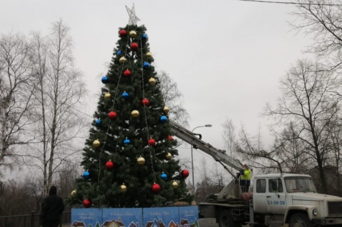    Стало известно, где в Петрозаводске будут новогодние елки